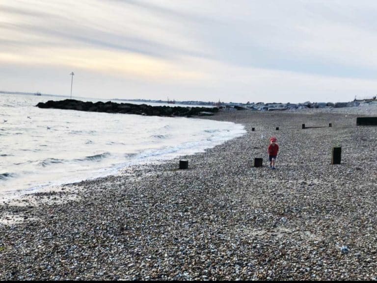 lee on solent beach 768x577