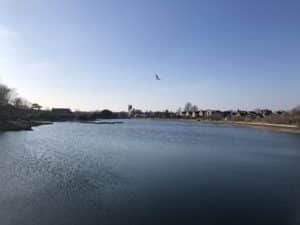 Stoke Lake (the Creek)