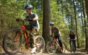 Moors Valley Country Park